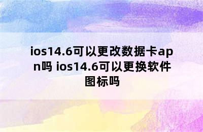 ios14.6可以更改数据卡apn吗 ios14.6可以更换软件图标吗